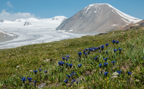 蒙古國最高峰阿爾泰山健行、那達幕盛會、古都哈拉和林