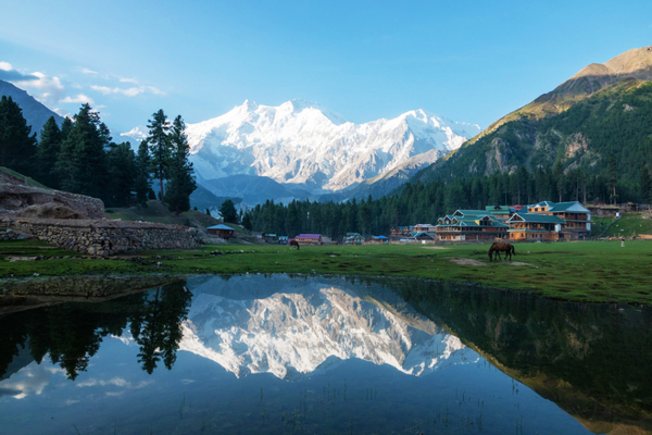 巴基斯坦 南迦帕爾巴特基地營漫遊