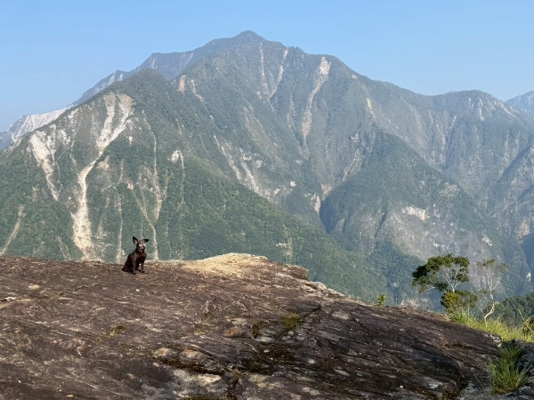 探訪雲端上的部落 | 花蓮大禮大同