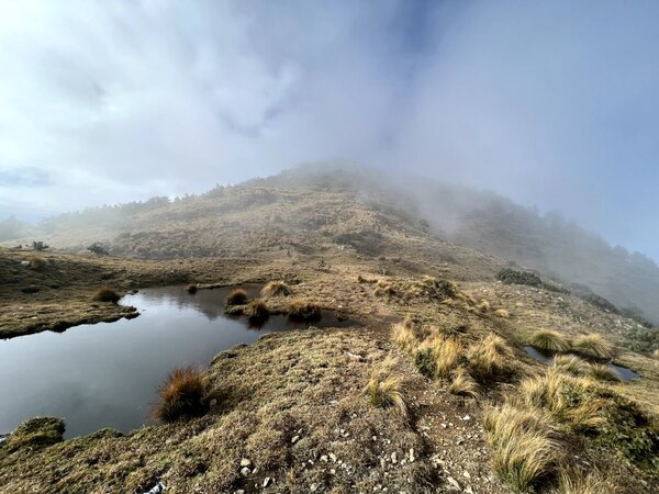 【百岳四大障礙】干卓萬下武界